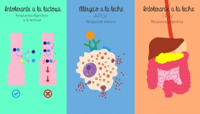 diferencia-aplv-iplv-lactosa-allergychef