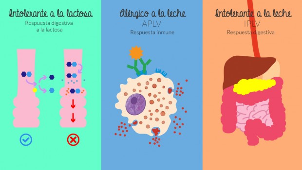 diferencia-aplv-iplv-lactosa-allergychef