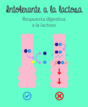 Intolerancia-lactosa-allergychef
