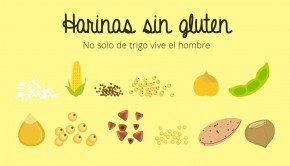 harinas-sin-gluten-allergychef