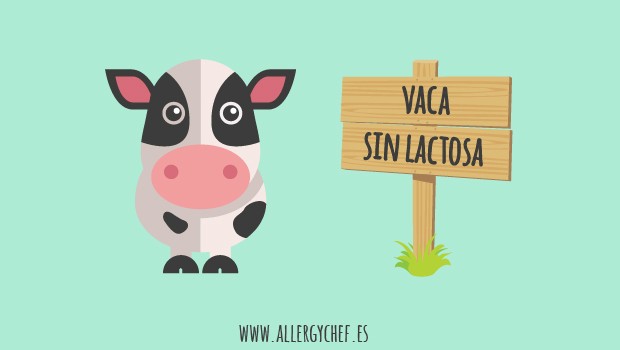 leche sin lactosa