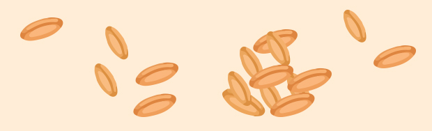 leche de avena sin gluten