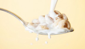 leche de avena sin gluten