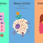 ¿Diferencia entre Intolerancia a la lactosa, Alergia a la Leche (APLV) e Intolerancia a la Leche (IPLV)?